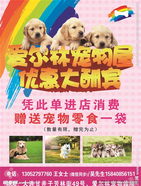 宠物店宣传单模板图片,宠物店宣传单图片,宠物店宣传海报图片_大山谷图库