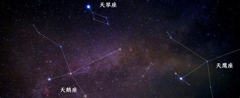 牛郎星是属于什么星座 牛郎星属于什么星座织女星属于什么星座 - 瑞乙辰