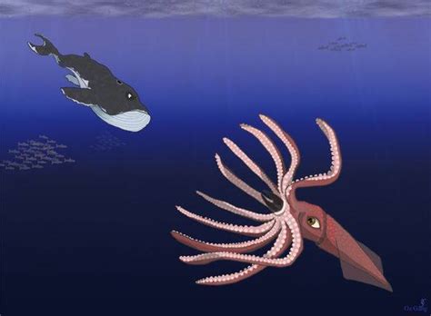 实拍：深海下的巨型生物|深海|生物|实拍_新浪新闻