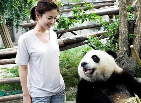 张家齐、姆巴佩为旅法大熊猫双胞胎幼崽命名：“欢黎黎”“圆嘟嘟”|界面新闻 · 快讯