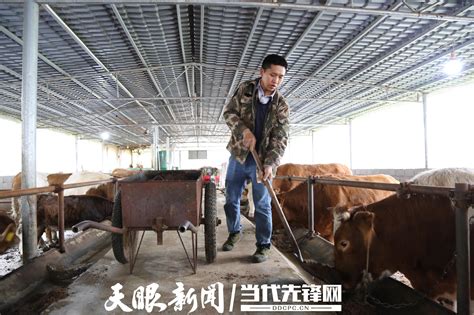 德江县：肉牛花椒产业旺 乡村振兴有奔头-贵阳网
