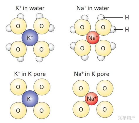 水中钠离子的检测方法 - 知乎