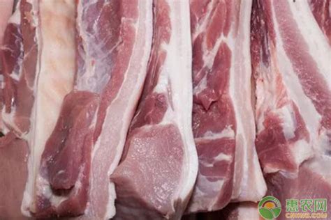 今天白条猪肉批发价格多少钱一斤？ - 惠农网