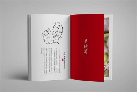 茶叶产品招商手册|平面|宣传品|赵梦冬1127 - 原创作品 - 站酷 (ZCOOL)