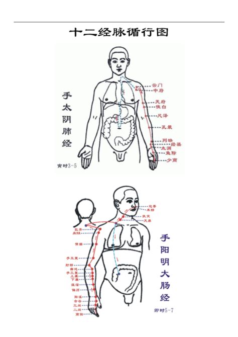 人体经络穴位定位衣的制作方法