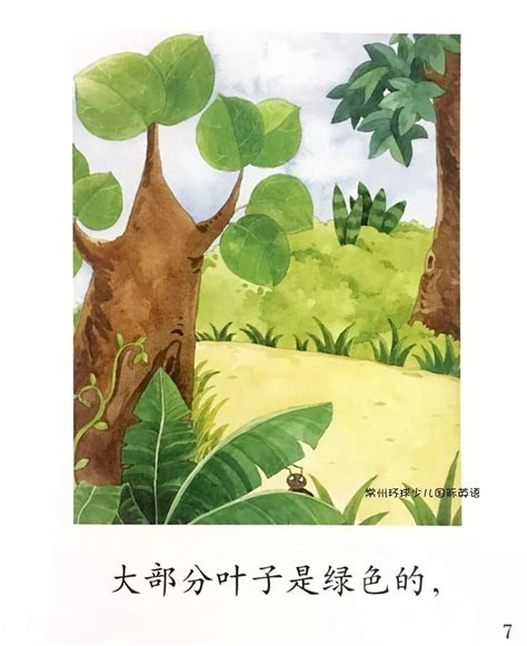 儿童绘本故事推荐《两棵树》_大树