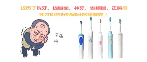 T-006 - 手动牙刷厂 - 扬州电动牙刷厂家-扬州牙刷厂家-扬州市白王刷业有限公司