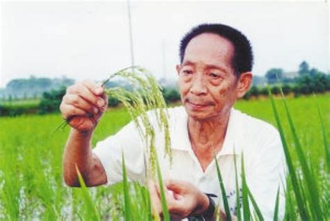 “杂交水稻之父”走了，留给我们无尽的思念 - 教科卫要闻 - 新湖南