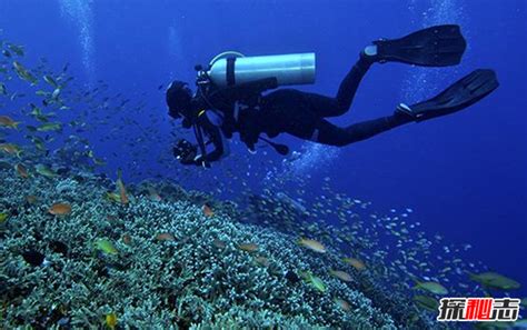 深海探秘-高清晰蓝色海洋潜水员壁纸