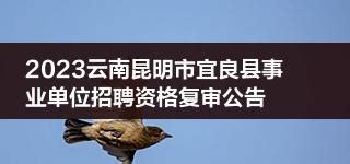 2023云南昆明市宜良县事业单位招聘资格复审公告__财经头条