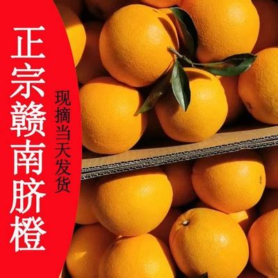 【抖音直接下单】1.6斤脐橙 — 大卖网
