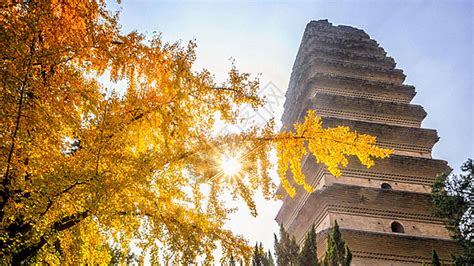 在西安，秋天必去的八大美景！