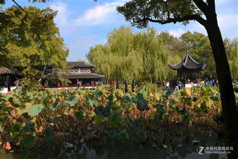 中国四大名园之一 · 拙政园 】--- “ 苏… - 堆糖，美图壁纸兴趣社区