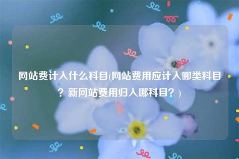 网站费计入什么科目(网站费用应计入哪类科目？新网站费用归入哪科目？) - 速云数据