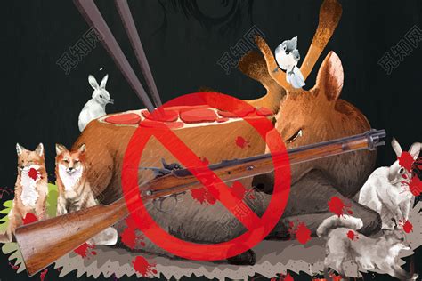 保护野生动物保护动物严禁狩猎禁止滥捕乱杀公益宣传海报图片下载 - 觅知网