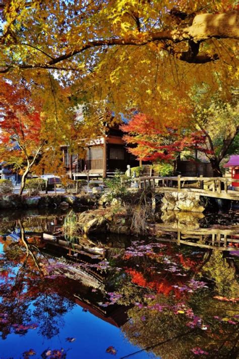 日本的滋贺县(Shiga)古名叫近江国_[标签:标题1]