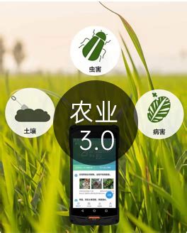 “5G+智慧农业”的农业大数据平台该怎么做？_山东远盛通信科技有限公司