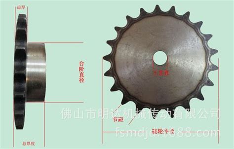 10A不锈钢链轮 10A链轮型号对照表 不锈钢链轮参数表 宁津威诺直销