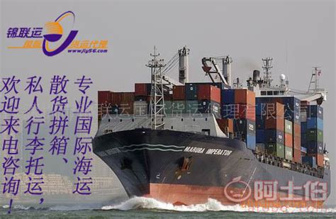 国际海运物流服务进出口全套代理进出口贸易 _ 大图
