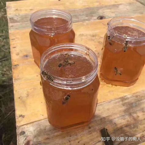 蜂蜜推荐：深山老林里边的纯正蜂蜜，老爸自己养的蜂蜜，有春蜜和冬蜜。 - 知乎