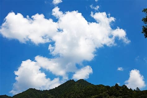蓝天中几朵可爱的白云飘啊飘高清图片下载_红动中国