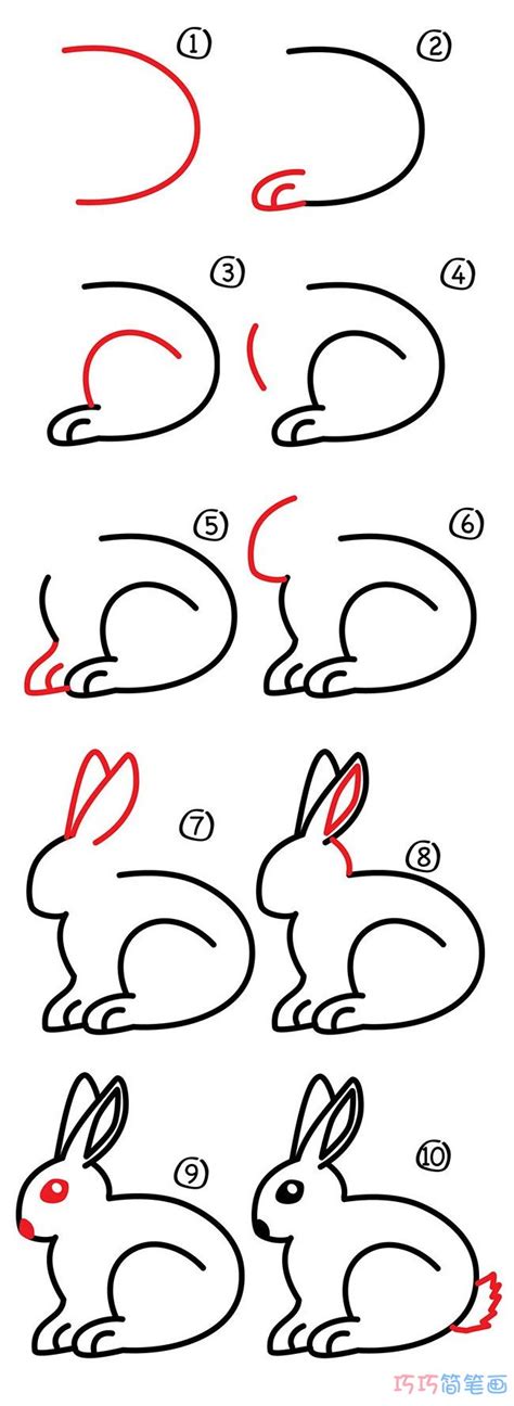 怎样画小兔子简笔画(怎样画小兔子简笔画图片) - 抖兔教育