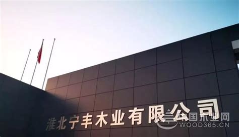 宁丰集团（淮北）年产40万m³OSB项目首板下线 - 行业数据 木业快报