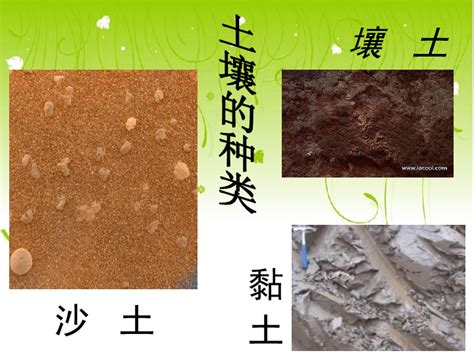 中国土壤分类及地带性分布、土壤腐殖质及其作用__财经头条