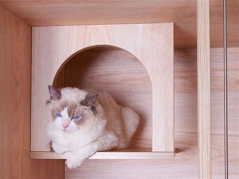 猫别墅实木猫柜子封闭式豪华猫笼透明猫咪窝木制猫屋猫舍展示猫柜-阿里巴巴