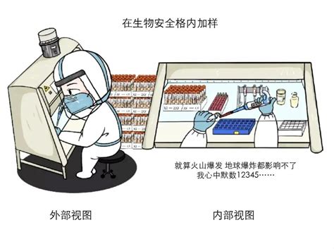 追踪 | 涉朴石实验室核酸数据造假案，10人被提起公诉|新冠肺炎_新浪新闻