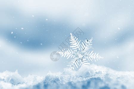 星星雪图片