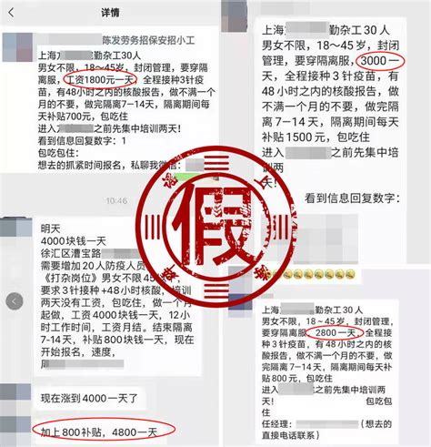 上海自贸区今年首场招聘会火爆 老外也来找工作_新浪财经_新浪网