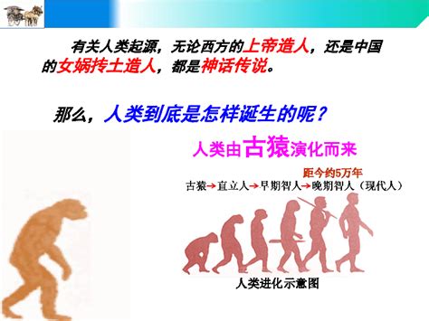 第1课 中国境内早期人类的代表——北京人课件 （26张ppt）-21世纪教育网