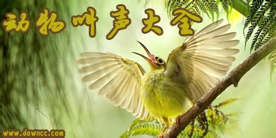 【采蜜的百灵鸟摄影图片】生态摄影_沐沙_太平洋电脑网摄影部落