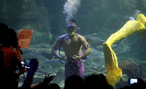 武汉东湖海洋世界推国内首位“男美人鱼”_旅游频道_凤凰网