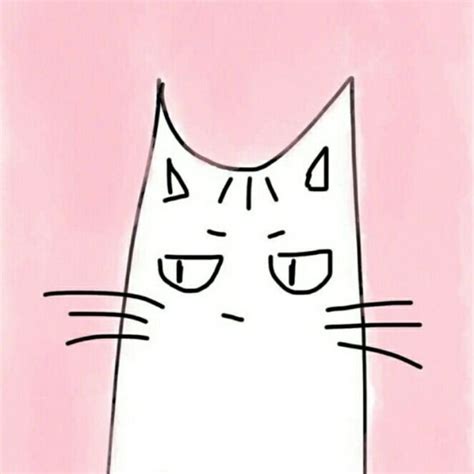 猫咪头像粉色图片