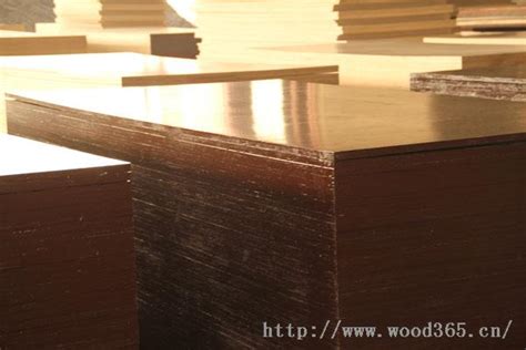 金亨木业-中国木业网