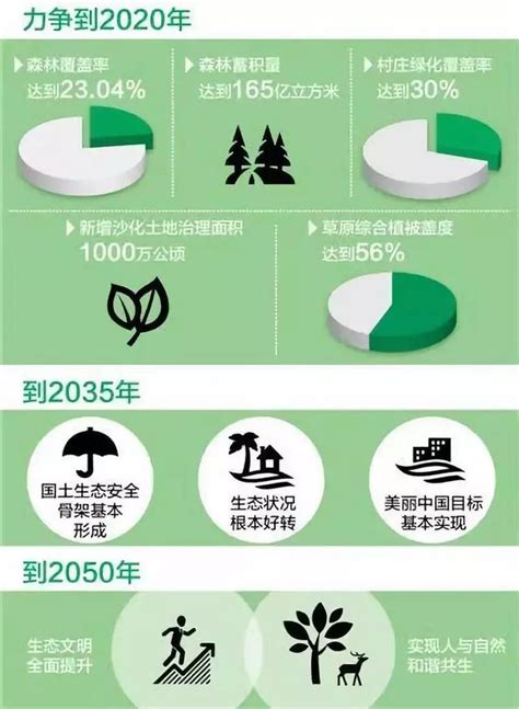 2020-2026年中国林业造林行业市场专项分析及发展趋向分析报告_智研咨询