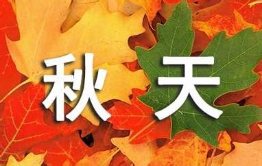 秋天的树叶作文500字 秋天树叶的作文 - 趣智分享