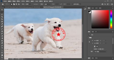 专业图片处理工具Adobe Photoshop Elements 2021中文版的下载、安装与注册激活教程