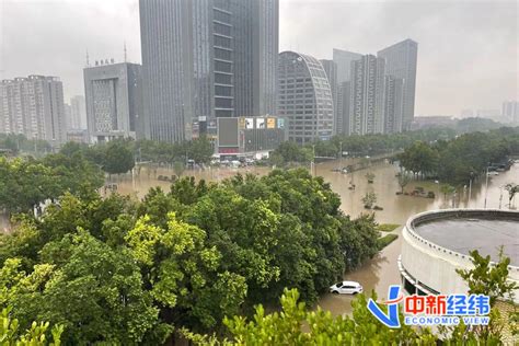 直击抢险救灾现场！陕西大荔县强降雨致多个村庄被淹 网友留言破防了