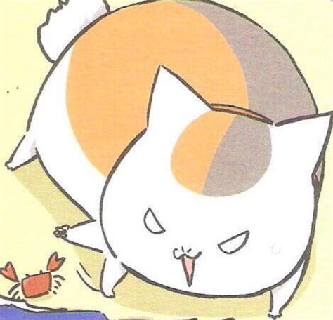 猫咪老师图片