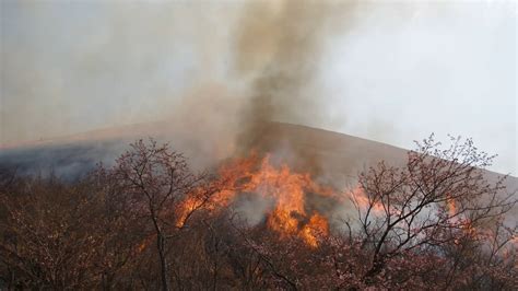 美国的加利福尼亚州，为什么经常会发生大规模山火？