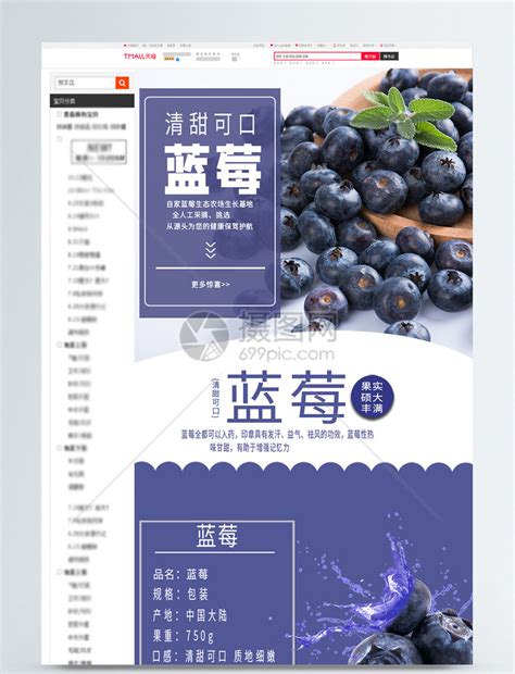 蓝莓水果淘宝详情页模板素材-正版图片401208150-摄图网