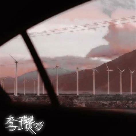 白色橄榄树图片