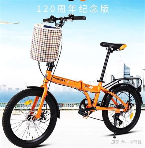 折叠自行车品牌有哪些？公认的最好的折叠车品牌_普通自行车_什么值得买