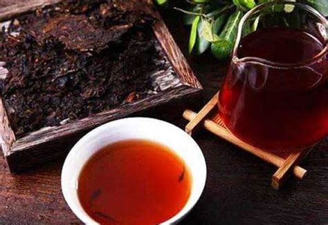 百年古树普洱茶多少钱一斤- 茶文化网