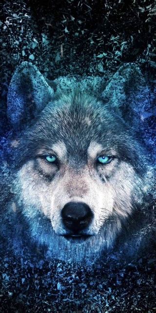 霸气的狼(动物手机动态壁纸) - 动物手机壁纸下载 - 元气壁纸