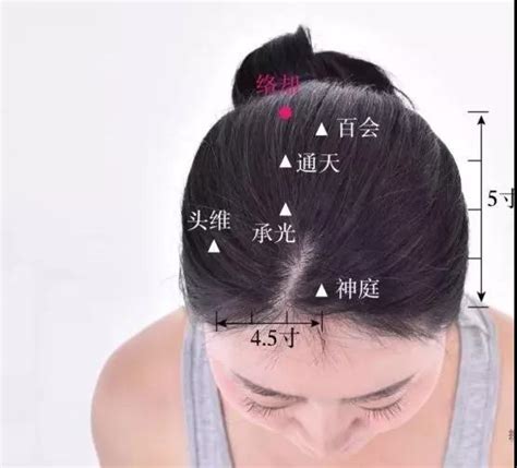 太阳的准确位置图图片