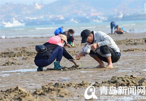 又是一个大潮日 市民游客沙子口海滩赶海忙 - 青岛新闻网